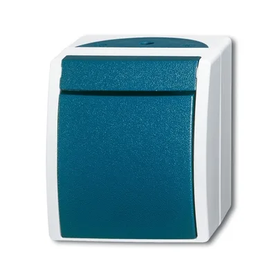Busch-Jaeger 2601/2 W-53