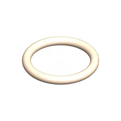 Dopag 1026371 O-ring -1786x262-PTFE