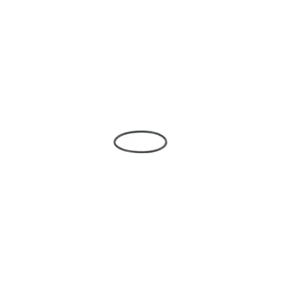IFM O-RG 16,40x1,00/FFKM O-Ring
