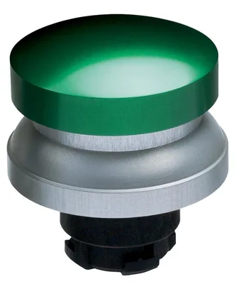 Schmersal RDP40GN
