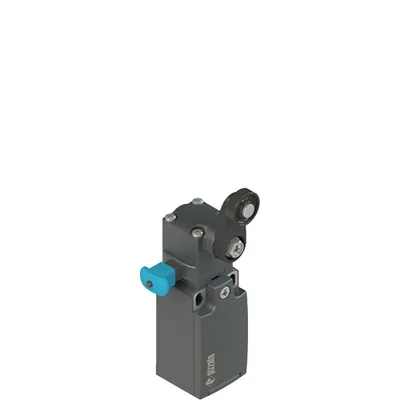 Pizzato FR 2030-W3M2 Position switch with roller lever and reset device