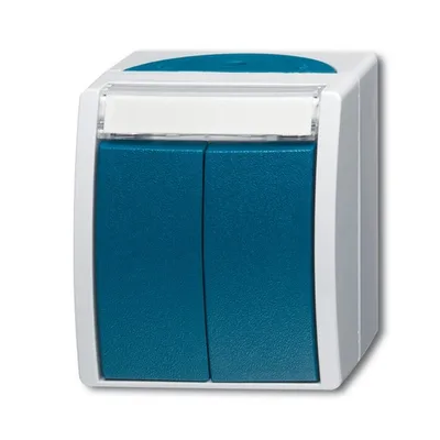 Busch-Jaeger 2621 WN-53-205-101