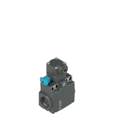 Pizzato FX 2038-W3M2 Position switch for rotating levers with reset device
