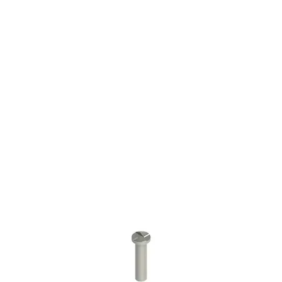 Pizzato VF VAM5X20BW-X Stainless steel security screws