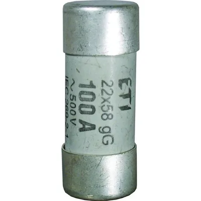 Eska 1461040 CH14 aR 40A 690V