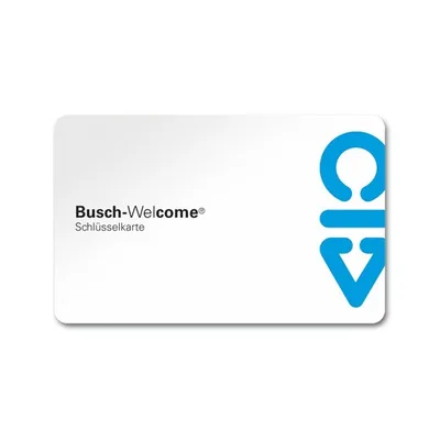 Busch-Jaeger 83173
