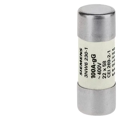 Siemens 3NW6205-1