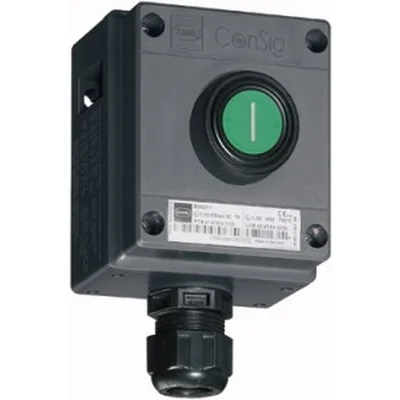 Stahl Schaltgeräte 8040/1180X-01L50SA05