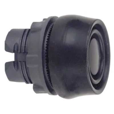 Schneider Electric ZB5AP2S