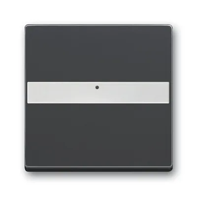 Busch-Jaeger 1764 NLI-885