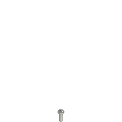 Pizzato VF VAM4X10BW-X Stainless steel security screws