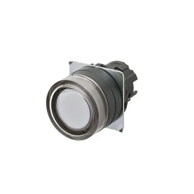 Omron A22NZ-BGM-TWA