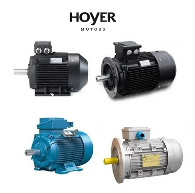 Hoyer 3240901259 IE2 Marine Motor