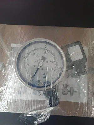 Wika PGT.100...LM-F-30 Basınç Göstergesi