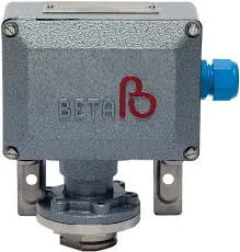 Beta C3-P504H-S2N-S1-G1 Basınç Şalteri