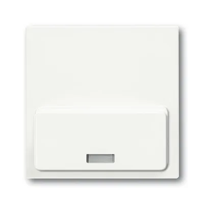 Busch-Jaeger 8254-884