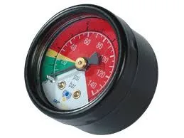 Mp Filtri BVA14P01 ( ex VR cod.01.095.001 ) VRP01 Manometer