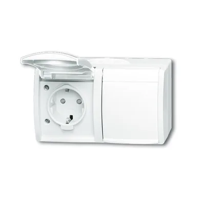 Busch-Jaeger 20/2 EBW-54
