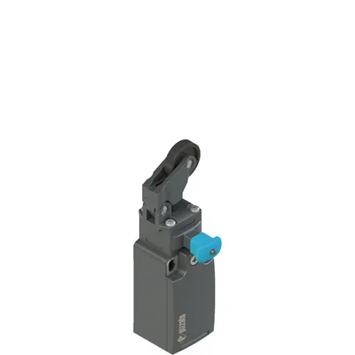 Pizzato FR 607-W3M2 Position switch with adjustable one-way roller and reset device