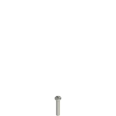 Pizzato VF VAM4X20BW-X Stainless steel security screws