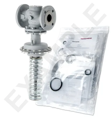 Mankenberg 65451629A-E   WS Maintenance Kit WS/DM603-65-FA13-40-D054-50-CS-YE-N |