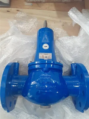 CSA SRL VRDC 12-24BAR Basınç düşürücü