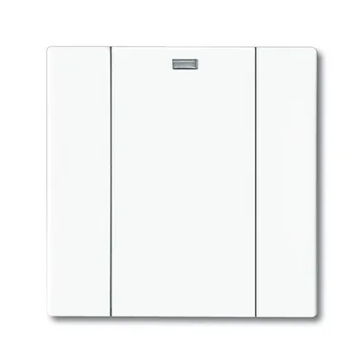 Busch-Jaeger 6125-84-101