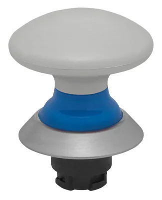 Schmersal NDP50BL/WS