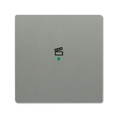 Busch-Jaeger 6233-10-803