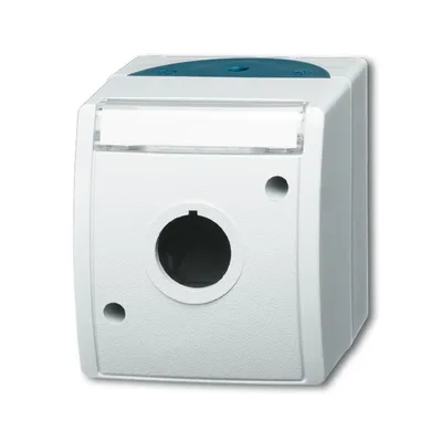 Busch-Jaeger 2533 WN-53