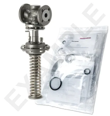 Mankenberg 65521586A-1   WS Maintenance Kit WS/DM613-25-FA13-40-D048-6-CS-FF-E80 |