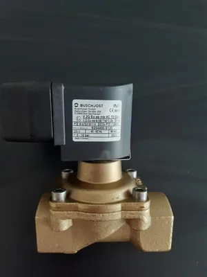 Buschjost 8254400.6120 Solenoid valf