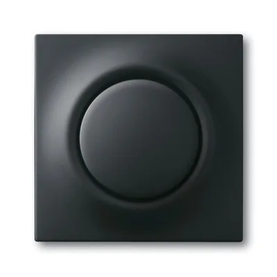 Busch-Jaeger 6543-775-101
