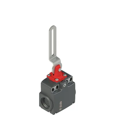 Pizzato FX 5C2-M2 Safety switch with slotted hole lever