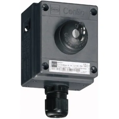 Stahl Schaltgeräte 8040/1180X-08M01SA05