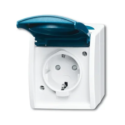 Busch-Jaeger 20 EBW-53