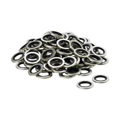 IFM HYDRAULIC-SEALING RG 100P G1/4 Conta