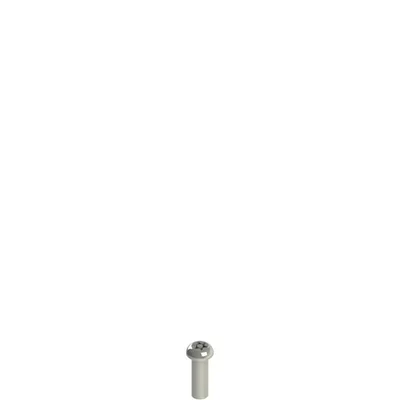 Pizzato VF VAM5X15BX-X Stainless steel security screws