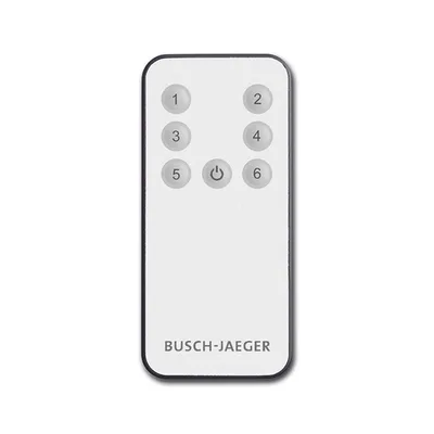 Busch-Jaeger 6179