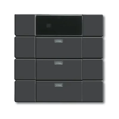 Busch-Jaeger 6129-85-101