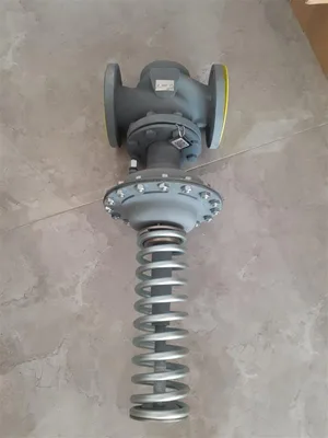 Mankenberg DM604-50-FA11-16-D060-32-CS-YE-N Basınç Düşürücü Vana
