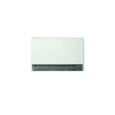 AEG Haustechnik WSP 3610F+HK+STEINE
