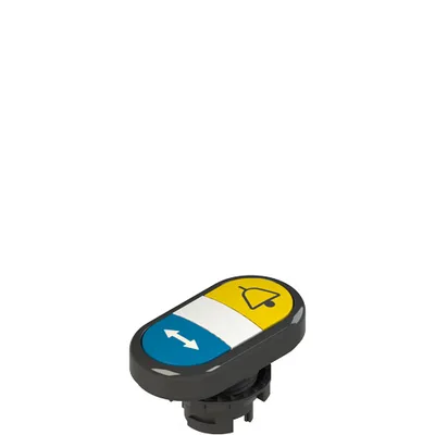 Pizzato E2 1PDRL1AADJ Double lower flush pushbutton, with marking
