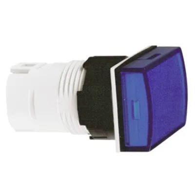 Schneider Electric ZB6DV6