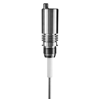 Rechner Sensors KFI-1-1000-950-VAc/PTFE/VAc-D13-TB50-G1-IL4-ETM-Y5-1G-1D, Capacitive Level Measurement Systems (KFI / KFS / KFA / KFX)