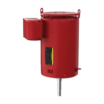 VJPFPM2546T