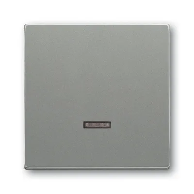 Busch-Jaeger 6543-803-101