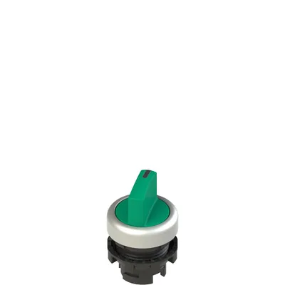 Pizzato E2 1SL12ECD49AB Illuminated short handle selector, 2 positions green with marking