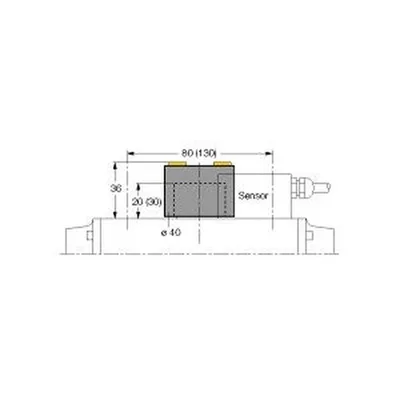 Turck BTS-DSU35-EU2