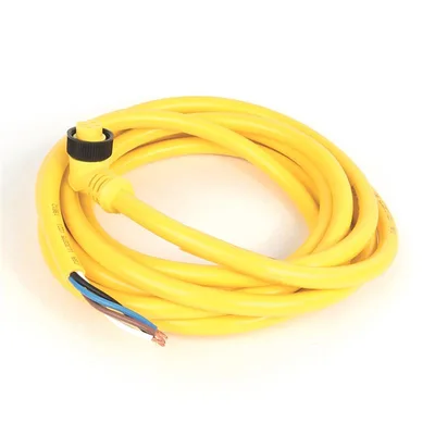 Allen Bradley 889N-R4AFNM-10 Mini Cable